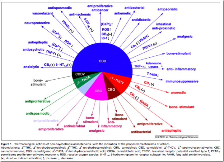 cannabinoids-pie-chart