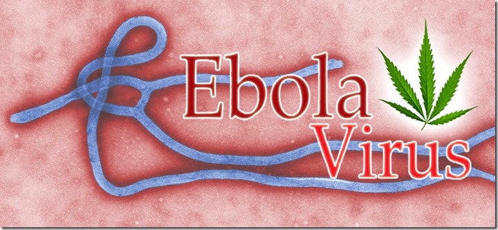 Ebola Virus Causes, Symptoms, Treatment And Prevention
