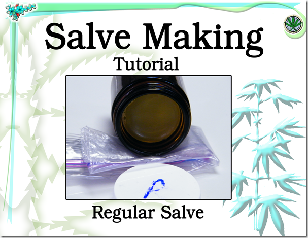 1. Salve Tutorial