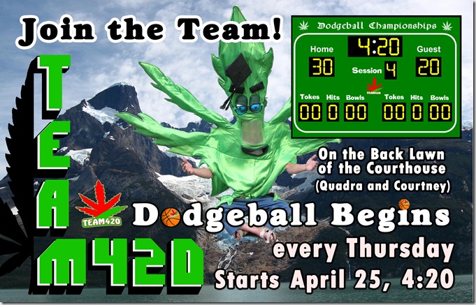 Team 420 Dodgeball