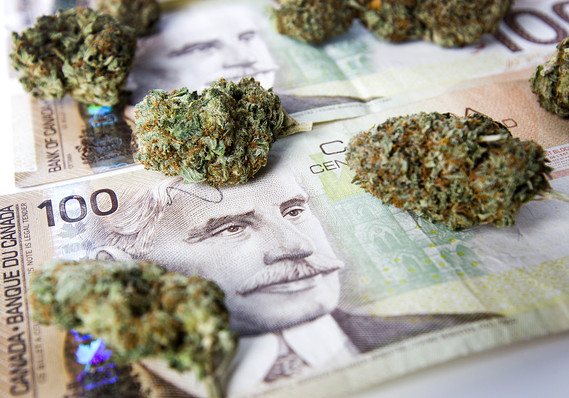 venture-capital-startup-loans-angel-investors-lines-of-credit-cannabis-in-canada