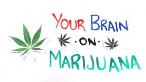 Your brain on Marijuana