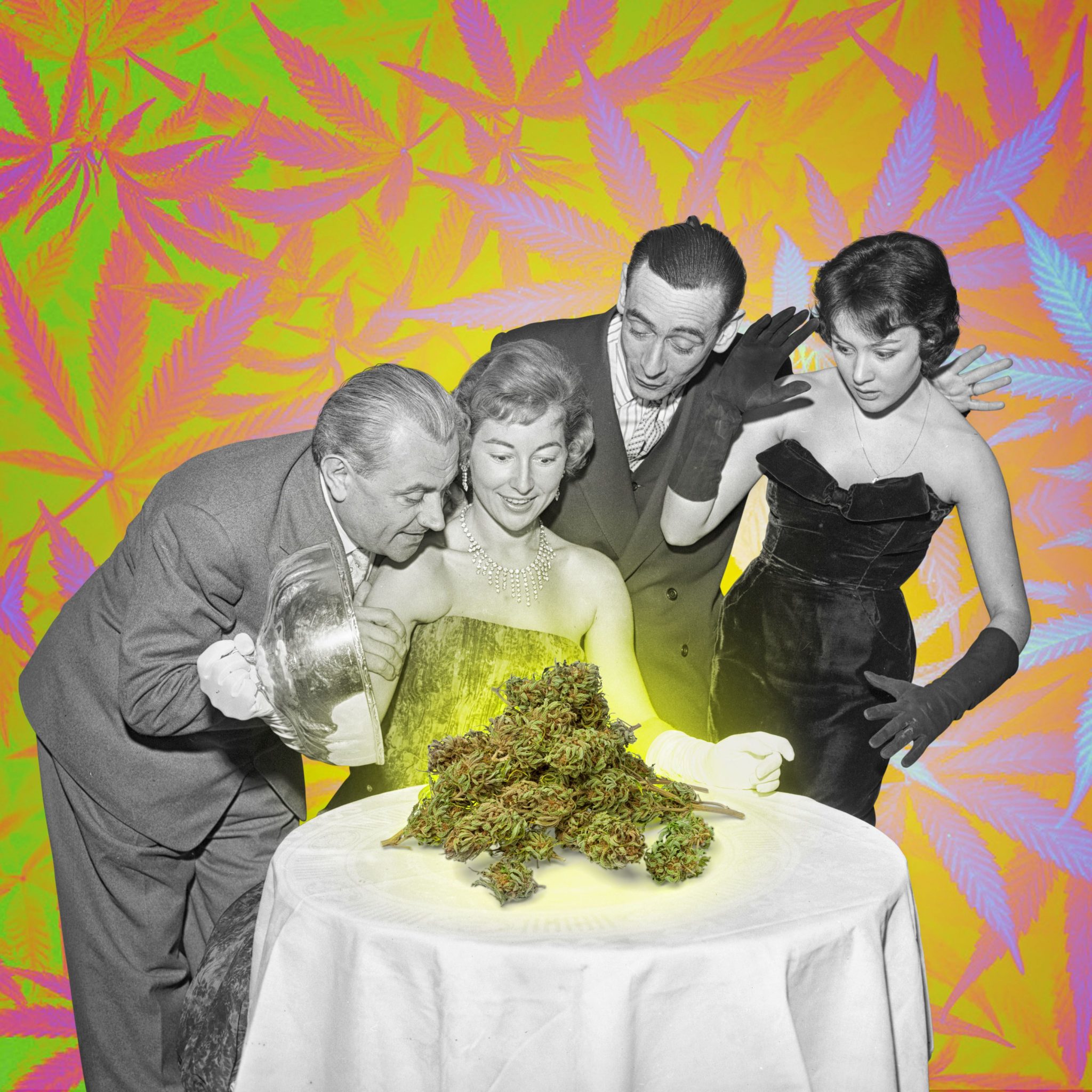 420 party Cannabis Digest 420-party-cannabis-digest